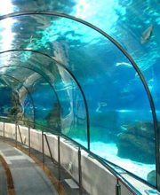 Aquarium
