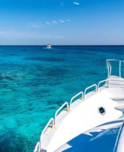 Boat Trips