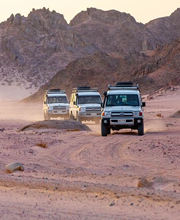 Desert Safari